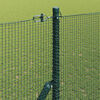 Product Thumbnail Image 4 of 15