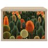 Product Thumbnail Image 4 of 8