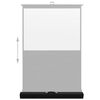 vidaXL Floor Rising Projection Screen 55" 4:3