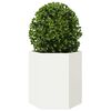 vidaXL Garden Planter 2 pcs White Hexagon 46x40x45 cm Steel