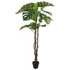 Product Thumbnail Image 3 of 6