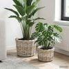Product Thumbnail Image 2 of 9