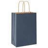 vidaXL Paper Bags 250 pcs with Handles Blue 15x8x21 cm