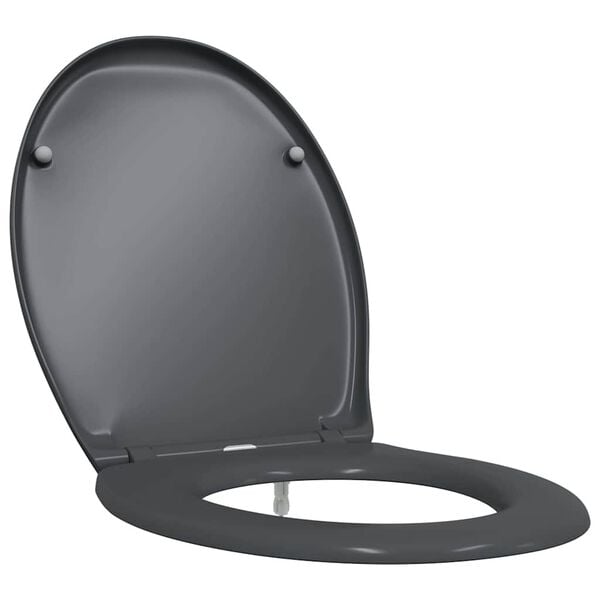 vidaXL Quick Release Toilet suitable for Seat Anthracite