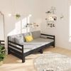 vidaXL Pull-out Day Bed without Mattress Black 2x(80x200)cm