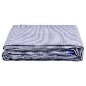 vidaXL Tent Carpet 250x200 cm Blue