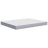 vidaXL Foam Mattress Medium Soft 180x200 cm