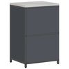 vidaXL Kitchen Storage with Shelf Anthracite 60 x 50 x 92 cm Steel