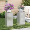 vidaXL Plant Stand 2 pcs Silver 24 x 24 x 55 cm Stainless steel