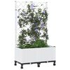 Product Thumbnail Image 3 of 8
