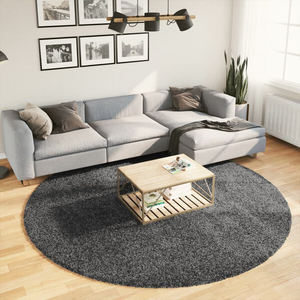vidaXL Rug OVIEDO Short Pile Anthracite &Oslash; 240 cm