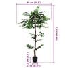 Product Thumbnail Image 6 of 6