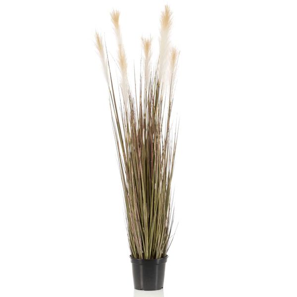 Emerald Artificial Pampas Grass 120 cm in Plastic Pot