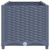 Product Thumbnail Image 4 of 9