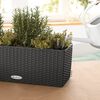 LECHUZA Planter BALCONERA Cottage 50 ALL-IN-ONE Granite