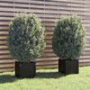 vidaXL Garden Planters 2 pcs Black 40x40x40 cm Solid Pinewood