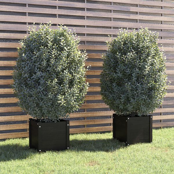 vidaXL Garden Planters 2 pcs Black 40x40x40 cm Solid Pinewood