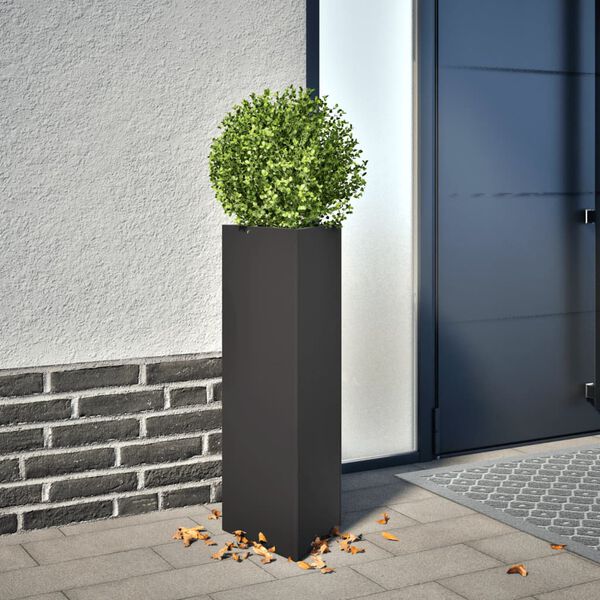 Showing Product Image 2 of 12