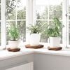 Product Thumbnail Image 3 of 13