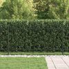 vidaXL Spike Fence Black 200 x 150 cm Powder-Coated Steel