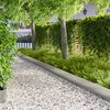 Product Thumbnail Image 2 of 9