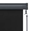 vidaXL Outdoor Roller Blind 80x250 cm Anthracite