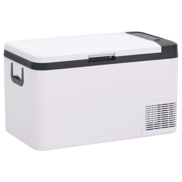 vidaXL Cool Box with Handle Black and White 25 L PP & PE