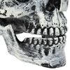 Product Thumbnail Image 7 of 8