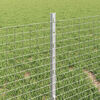 Product Thumbnail Image 4 of 13