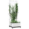 Product Thumbnail Image 7 of 8