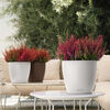 LECHUZA Planter CLASSICO Color 21 ALL-IN-ONE White