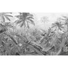 Komar Photo Mural Amazonia Black and White 400x250 cm