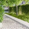 Product Thumbnail Image 2 of 9