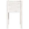 Product Thumbnail Image 4 of 7