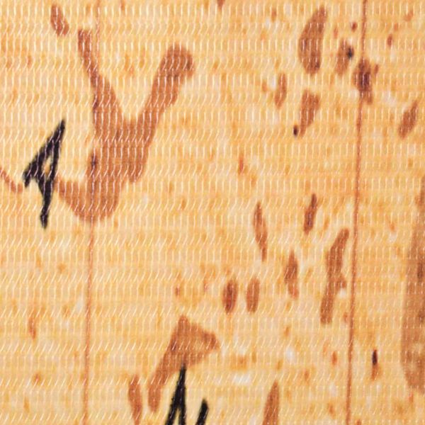 vidaXL Folding Room Divider 228x170 cm World Map Yellow