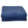 vidaXL Tent Carpet Blue 4x2 m