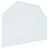 vidaXL Fireplace Glass Plate Transparent 80 x 60 cm Glass