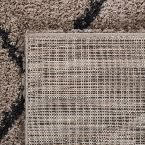 vidaXL Shaggy Rug High Pile Beige and Anthracite 120x170 cm