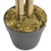 Product Thumbnail Image 3 of 4