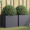 vidaXL Planters 2 pcs Anthracite 49x47x46 cm Steel