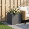 Product Thumbnail Image 2 of 12