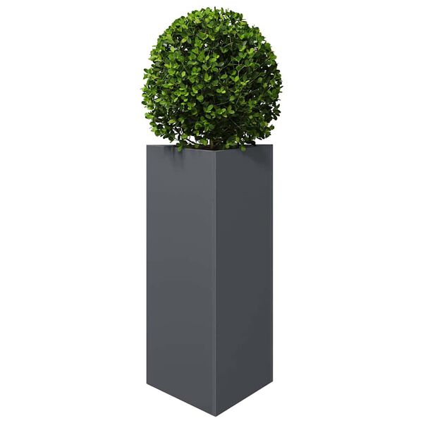 Showing Product Image 4 of 12