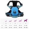 Product Thumbnail Image 14 of 14