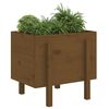 vidaXL Garden Planter Honey Brown 62x50x57 cm Solid Wood Pine