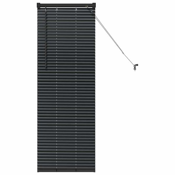 vidaXL Window Blind with Curtains Manual Black Aluminium