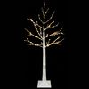 Product Thumbnail Image 2 of 5