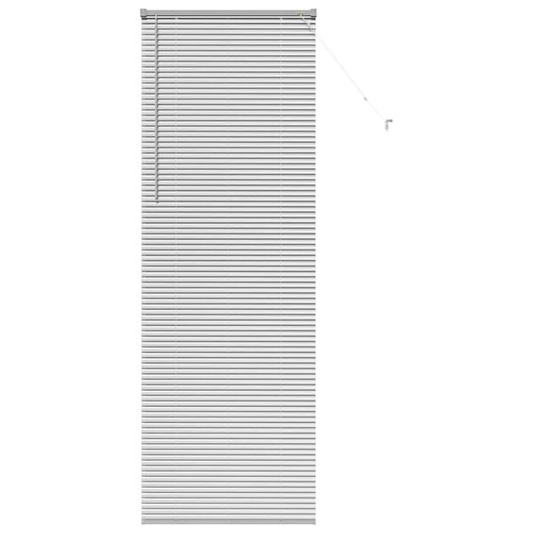 vidaXL Window Blind with Curtains Manual Silver Aluminium