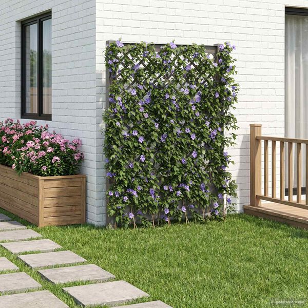 Showing Product Image 2 of 7