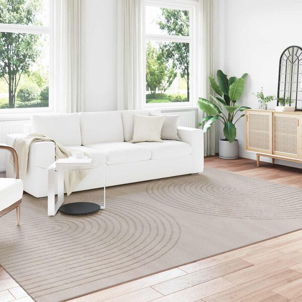 vidaXL Area Rugs Rectangular HUARTE Beige 280 x 200 cm Polyester