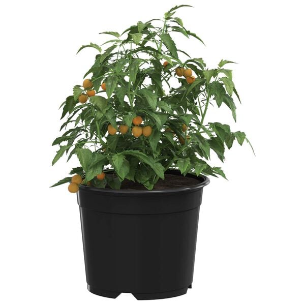 Showing Product Image 3 of 11